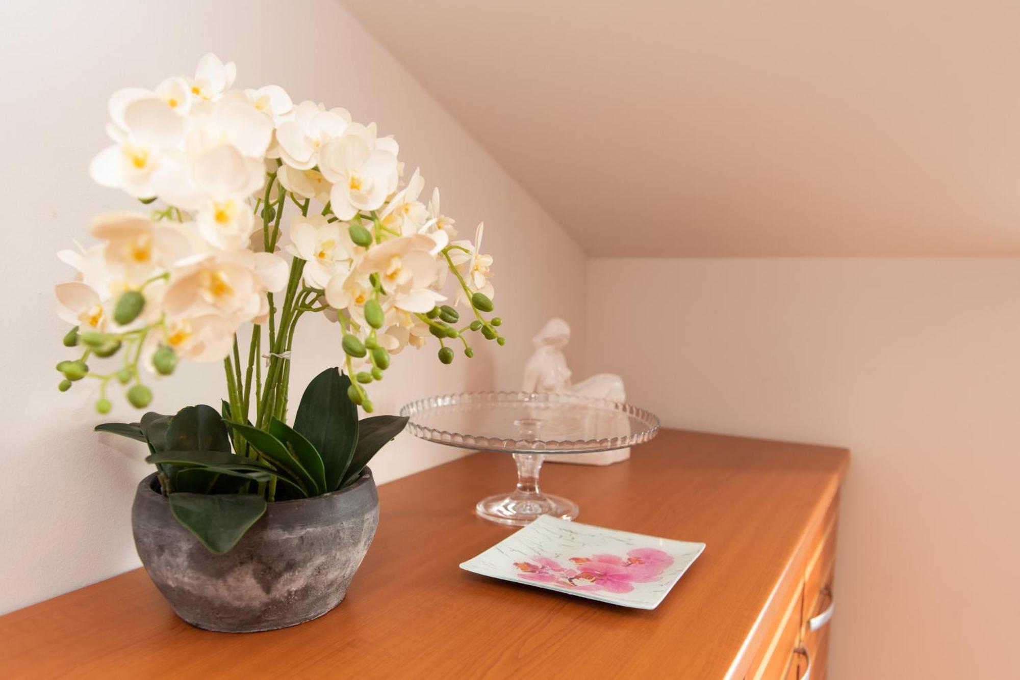 Apartment Andrijana Сплит Экстерьер фото